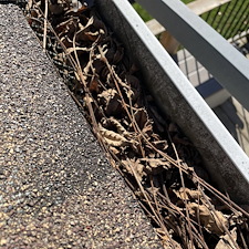 Eavestrough-Gutter-Cleaning-Performed-in-Paris-Ontario-and-surrounding-areas 2